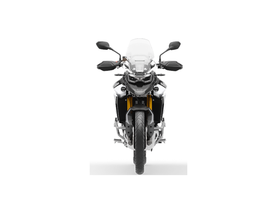 TRIUMPH TIGER 900 RALLY PRO