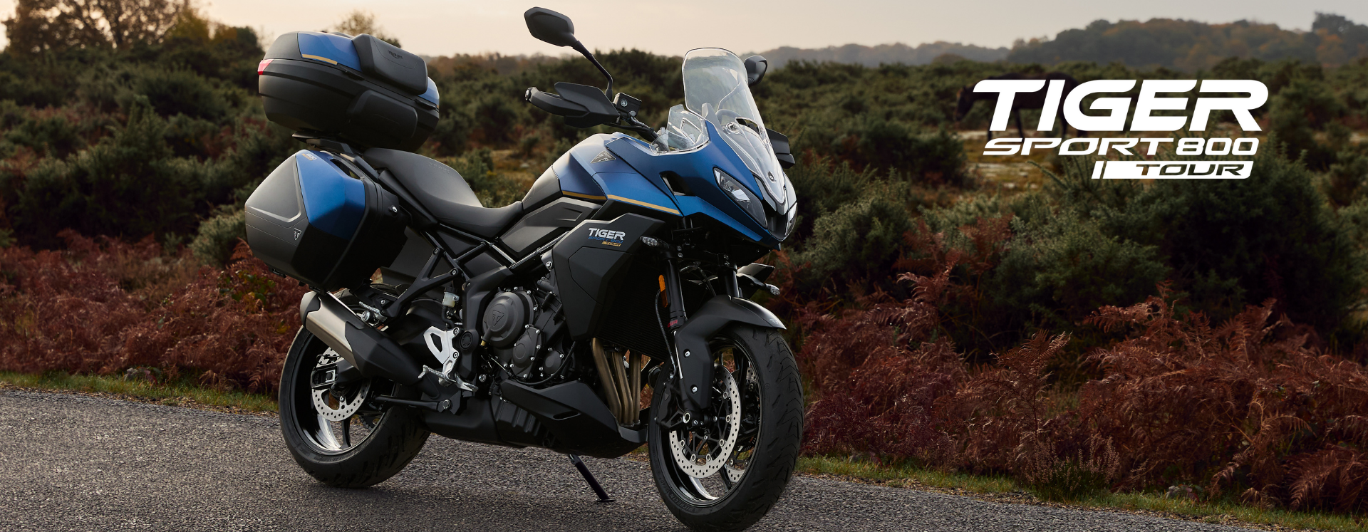 TIGER SPORT 800 TOUR